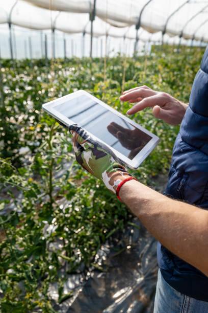 Plant Fitness & Equipment Quality Inspection